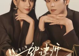 【分手六年，贺律师又沦陷了】65集短剧免费全集速看