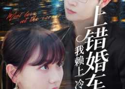 【上错婚车后我赖上冷酷谭爷】59集夸克网盘短剧观看