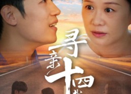 【寻亲十四载】50集高清短剧在线看无缓冲