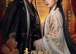 【手撕绑匪后我成了锦衣卫夫人】102集短剧免费在线观