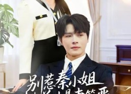 【别惹秦小姐她前夫是妻管严】50集短剧全集免费在线赏