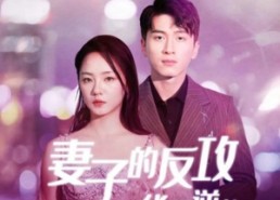 【妻子的反攻之华丽逆袭】30集短剧免费高清观看