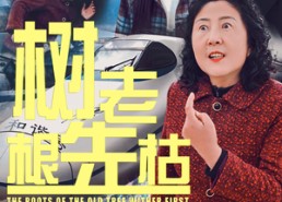 【树老根先枯】33集免费短剧全集直看