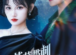 【蔷薇带刺又撩人】70集短剧免费全集览观