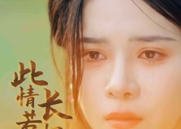 【此情若是长相守】55集短剧在线全观赏