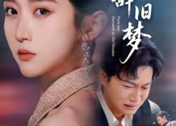 【清欢辞旧梦】54集短剧在线畅享全集