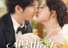 【假斯文】80集高清短剧全集免费观