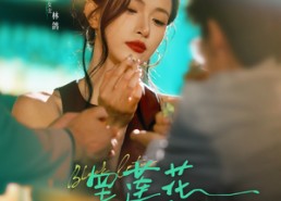 【黑莲花她不装了】77集在线短剧完整版观看