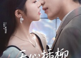 【无心插柳爱成荫】50集精彩短剧在线赏览