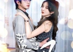 【蓄意逐风】95集高清短剧免费观览