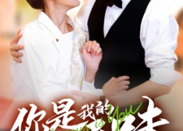 【你是我的人间至味】65集高清短剧全集观看
