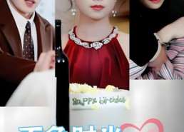 【不负时光负情深】30集短剧在线免费观全剧