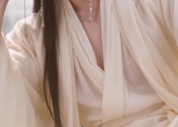 【枝上蘅：雪落知归】114集短剧全集免费观映