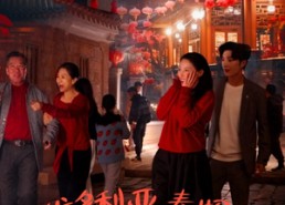 【维多利亚春妮回家过年100招】80集免费短剧在线全集看