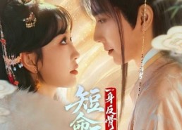 【短命王爷一身反骨，求娶将门主母】80集在线免费看短剧完整版资源