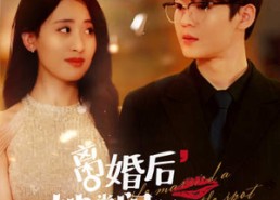 【离婚后，她当场闪婚亿万富翁】71集高清短剧免费在线赏