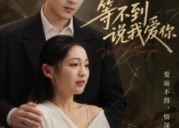 【等不到说我爱你】82集短剧全集畅享在线观看