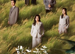 【故土无亲归途有风】31集短剧免费全集看