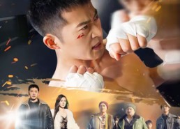 【有钱没钱回家过年之这个大外甥不一般】81集短剧免费在线追剧