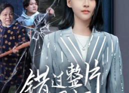 【错过整片星河】70集短剧免费在线直看