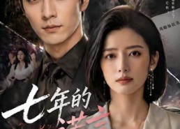 【七年的谎言】50集短剧完整版免费观看