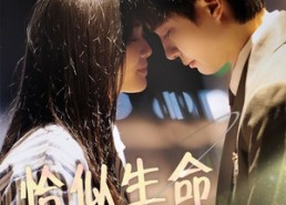 【恰似生命一道光】60集在线短剧完整版观看