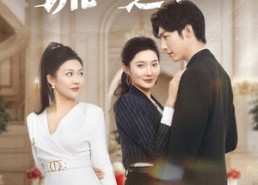 【谎言之茧】29集短剧免费在线速看