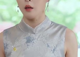 【长相思忆长相思】50集在线短剧免费全集览