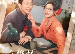 【白桦林的心动算式】66集全网免费短剧在线看