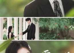 【雾灯不候旧年归人】50集免费短剧线上尽情看