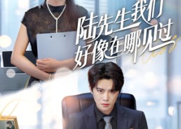 【陆先生我们好像在哪见过】70集短剧免费全集随心看