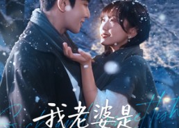 【我老婆是偏执女反派】50集短剧全集在线速看