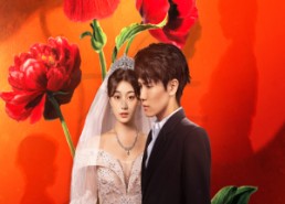 【金燕还巢当感恩】在线看55集短剧不收费