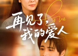 【再见了我的爱人】62集免费短剧即点即看