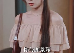 【金牌保姆进修手册】66集高清短剧全集免费观