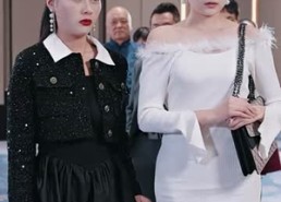 【镇龙】82集免费在线短剧完整看