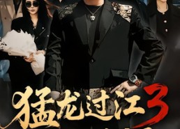 【猛龙过江3之只手遮天】64集短剧完整版在线看
