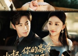 【小叔，你的高冷人设崩了】50集短剧免费在线观