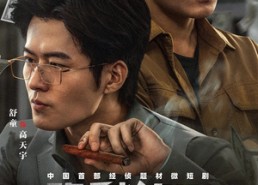 【隐秘的ID之天价打赏】69集免费短剧全集速览