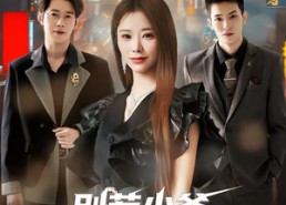 【别惹少爷，他姐是宠弟狂魔】60集爆款短剧免费赏