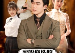 【离婚你选的，总裁向我求婚你哭什么】85集在线短剧免费全集赏