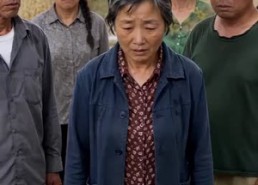 【麦熟见人心】41集短剧免费全集在线观影