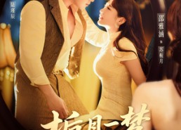 【栀月一梦寄星辰】50集热门短剧免费直看