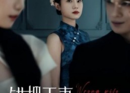 【错把正妻当婆婆】46集免费短剧在线完整看