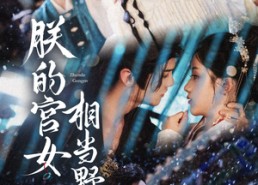 【朕的宫女相当野】62集短剧在线免费观览