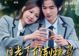 【月光下的荆棘鸟】80集短剧全集免费观影