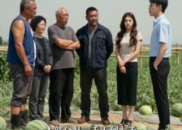 【冰雹无情瓜有情】36集短剧全集免费流畅观看