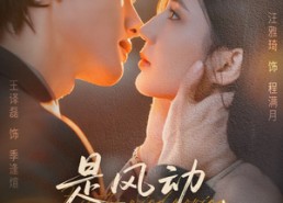 【是风动也是心动】60集免费短剧完整版观看