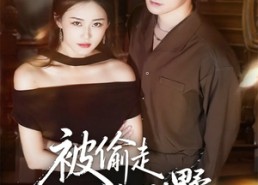 【被偷走的别墅】60集免费在线短剧全集赏