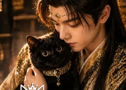 【重生成猫我成了皇帝的金牌顾问】81集短剧全集在线免费播